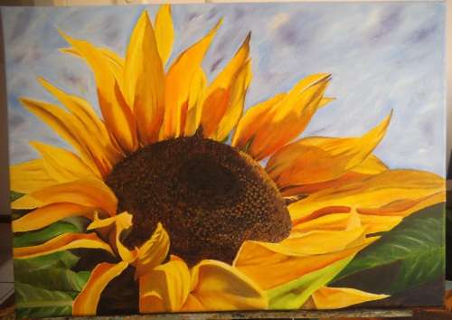 SUNFLOWER - 60 X 42CM