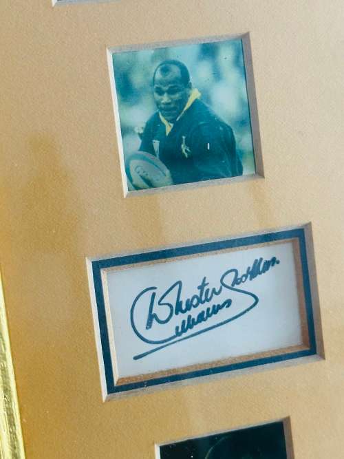 SPRINGBOK RUGBY Limited Edition Collage (99/400) & 1/10oz PROOF GOLD KRUGERRAND