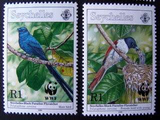 SEYCHELLES Mint Set - Seychelles Black Paradise Flycatcher 1996 //Birds