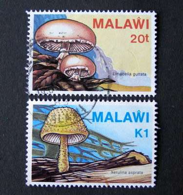 MALAWI - Fungi 1985
