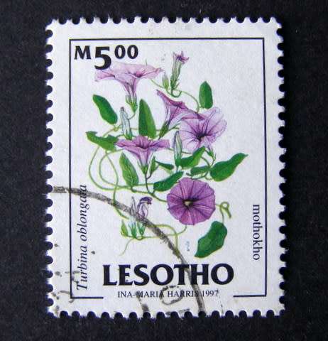 LESOTHO - Flowers 1998