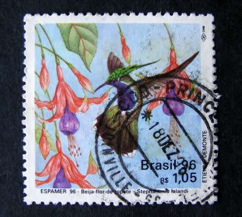 BRAZIL - Hummingbirds 1996