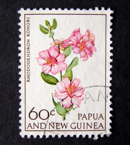 PAPUA NEW GUINEA - Flowers 1966