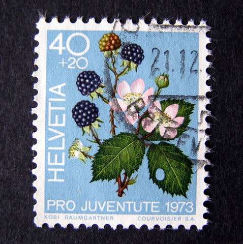 SWITZERLAND - Pro Juventute 1973 //Flowers