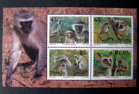 VENDA Mint Miniature Sheet - Monkeys 1994
