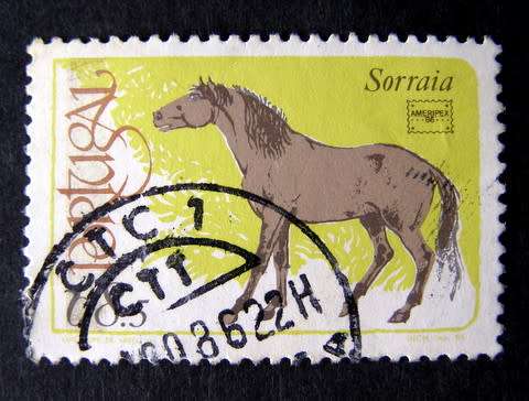 PORTUGAL - Thoroughbred Horses 1986