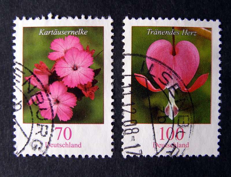 GERMANY - Flowers 2005