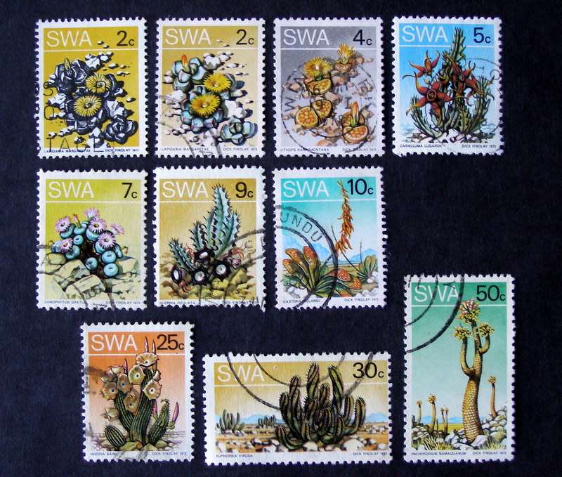 SWA - Succulents Definitive 1973 //Flowers