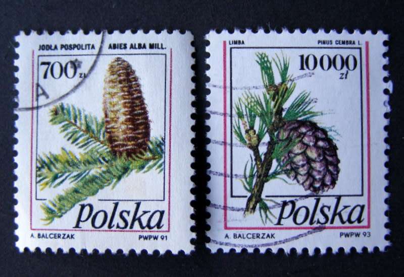 POLAND - Cones 1991-93 //Trees