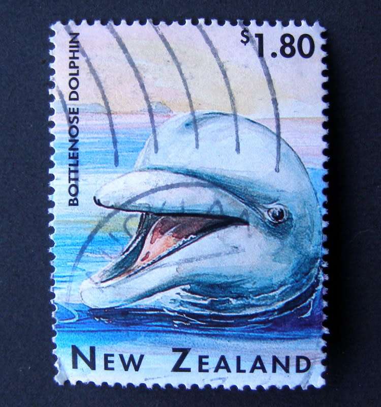 NEW ZEALAND - Marine Wildlife 1996