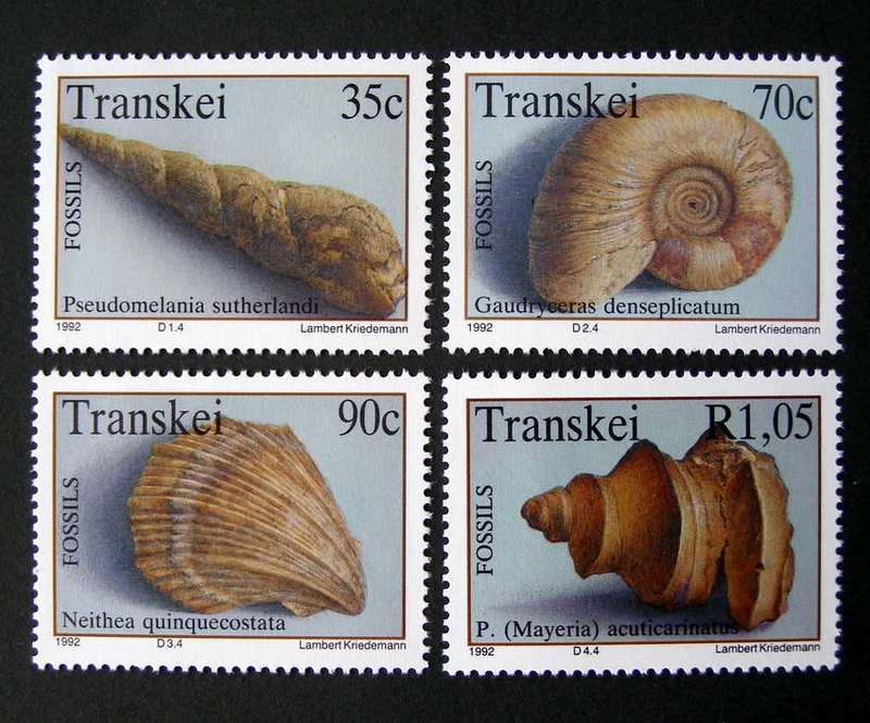 TRANSKEI Mint Set - Marine Fossils 1992