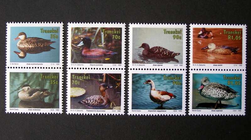 TRANSKEI Mint Set - Water Fowl 1992 //Birds
