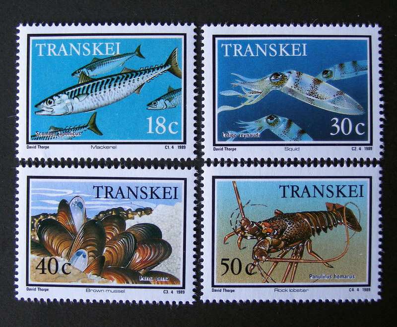 TRANSKEI Mint Set - Food from the Sea 1989 //Fish