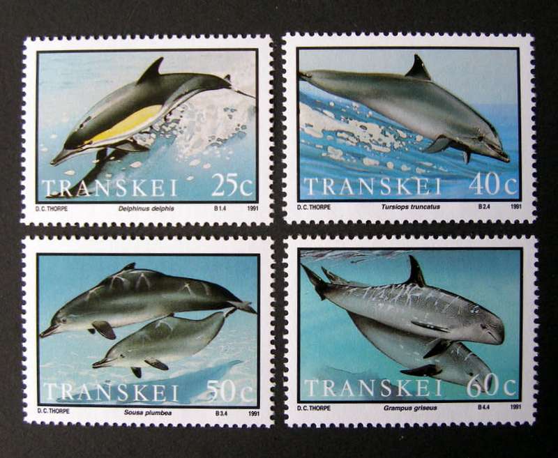 TRANSKEI Mint Set - Dolphins 1991