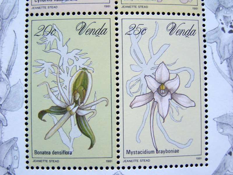 VENDA Mint Miniature Sheet - Orchids 1981 //Flowers