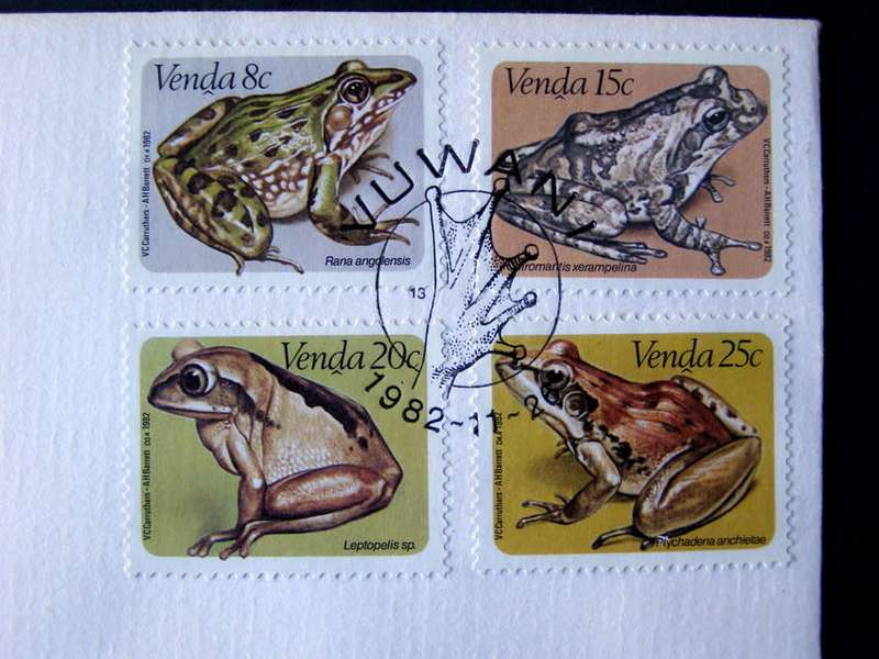 VENDA Cover - Frogs 1982