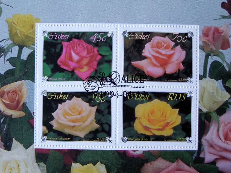 CISKEI Cover - Hybrid Roses Miniature Sheet 1994 //Flowers