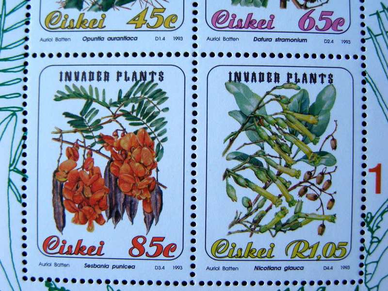 CISKEI Mint Miniature Sheet - Invader Plants 1993