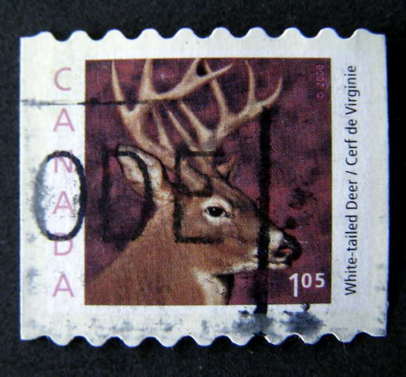 CANADA - Wildlife 2000