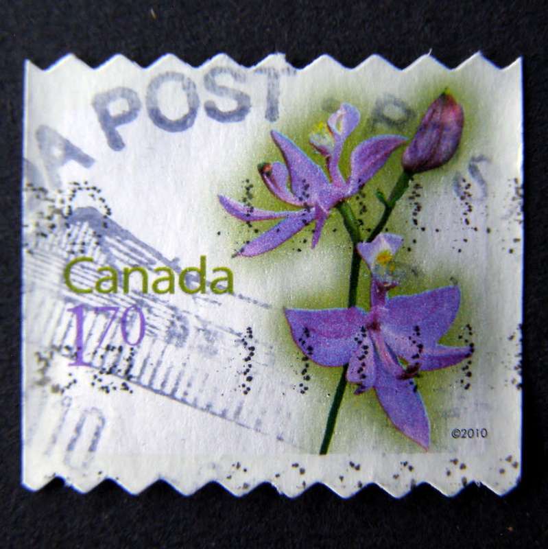 CANADA - Flowers (4th Series) 2010