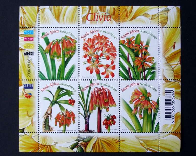 SOUTH AFRICA Mint Set - Clivias 2006