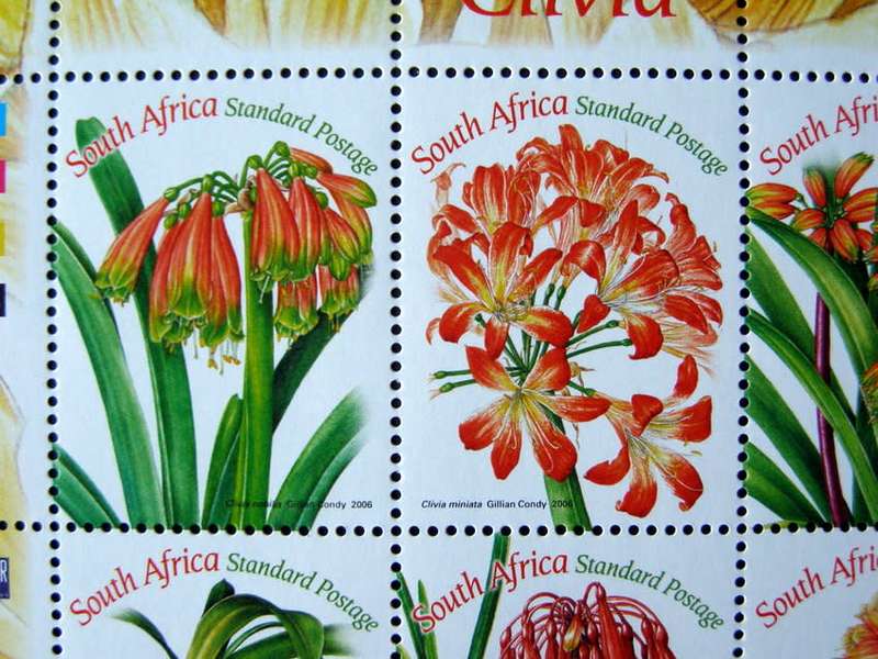 SOUTH AFRICA Mint Set - Clivias 2006