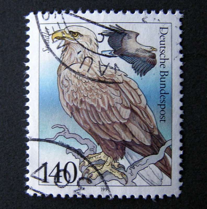 WEST GERMANY - Seabirds 1991