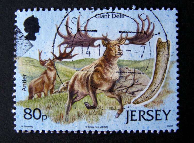 JERSEY - Archeology 2010