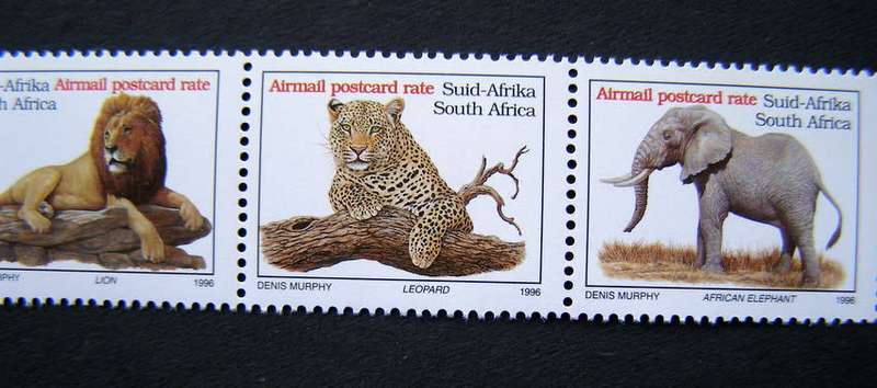 SOUTH AFRICA Mint Strip - Big Five Airmail Postcard 1996