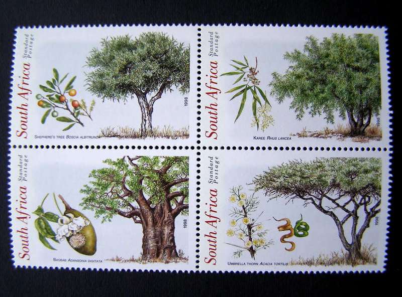 SOUTH AFRICA Mint Set - Indigenous Trees 1998