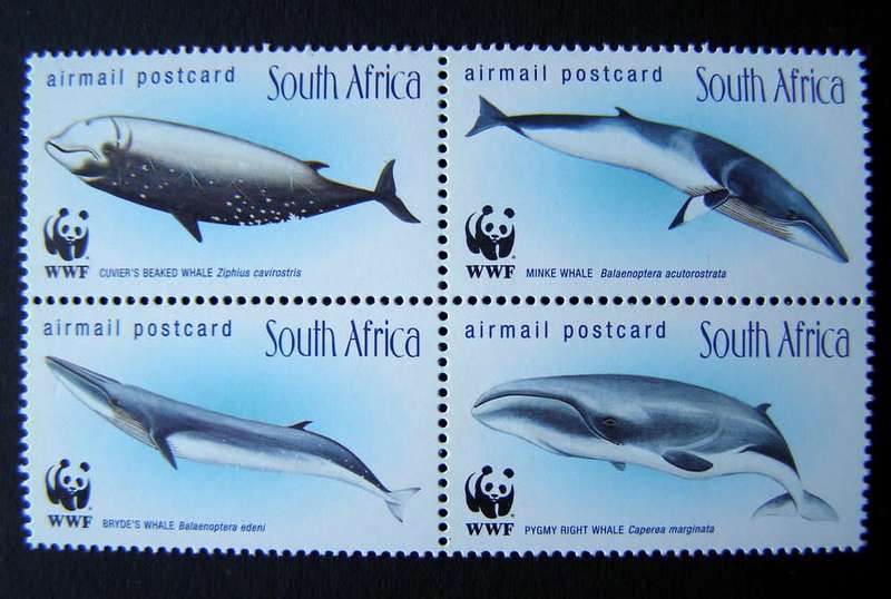 SOUTH AFRICA Mint Set - Whales of the Southern Oceans 1998