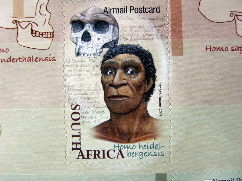 SOUTH AFRICA Mint Set (Self Adhesive) - Origin of Humankind 2006