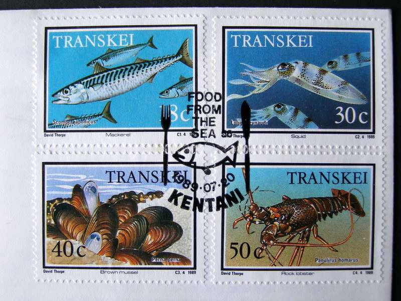 TRANSKEI Cover - Food from the Sea 1989 //Fish