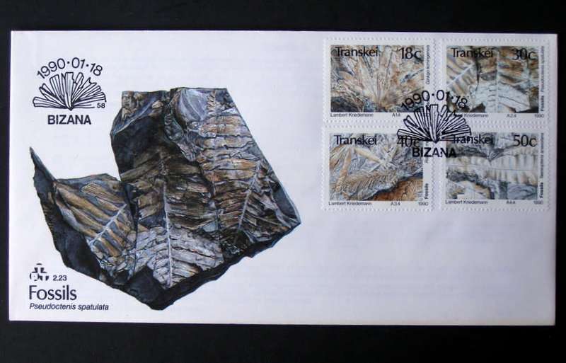 TRANSKEI Cover - Fossils 1990