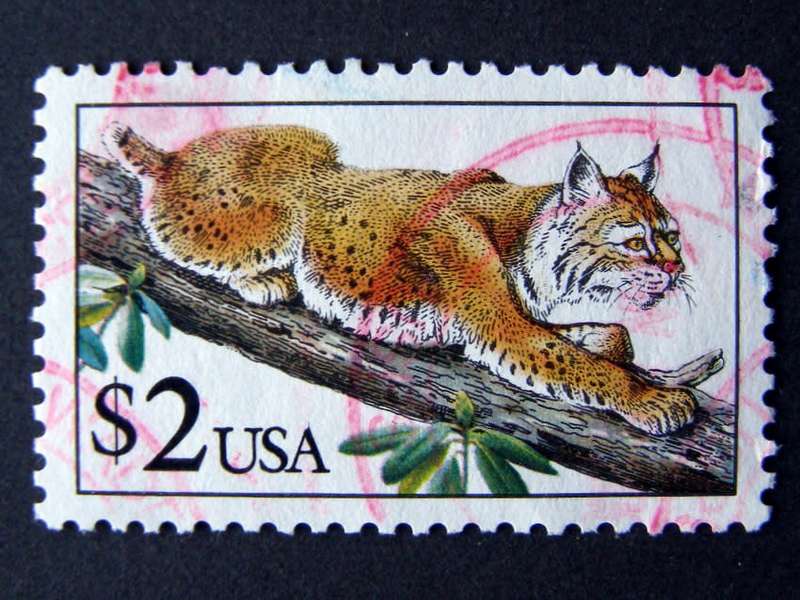 U.S.A. Set - Wildlife 1990