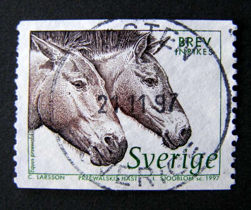 SWEDEN - Wildlife 1997