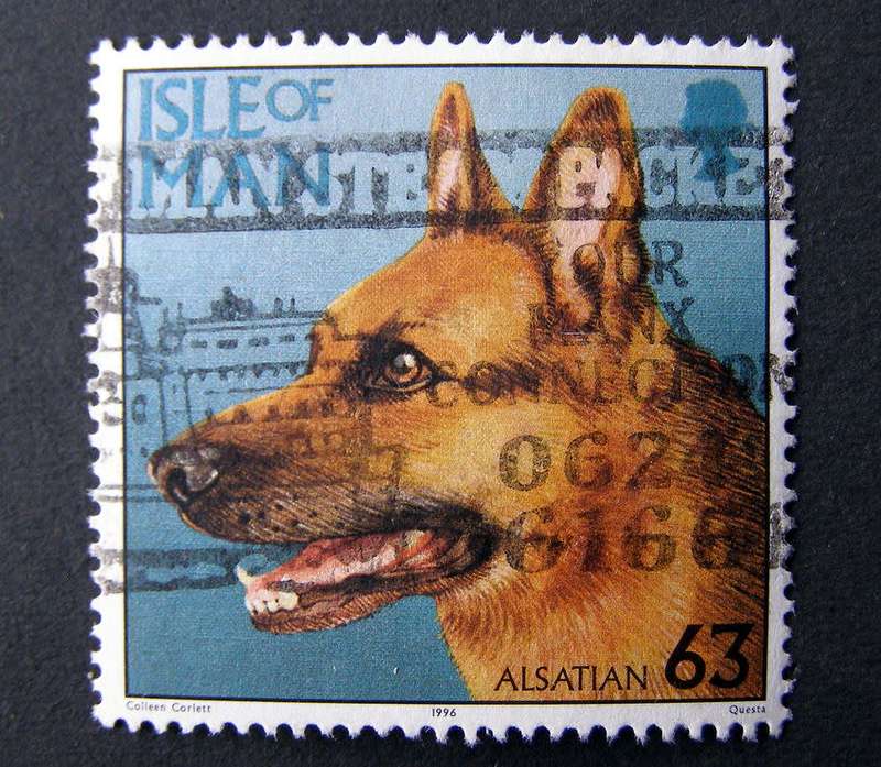 ISLE OF MAN - Dogs 1996
