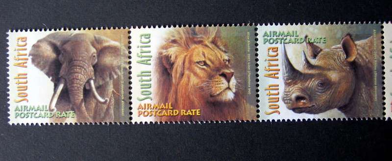 SOUTH AFRICA Mint Set - Big Five 2001