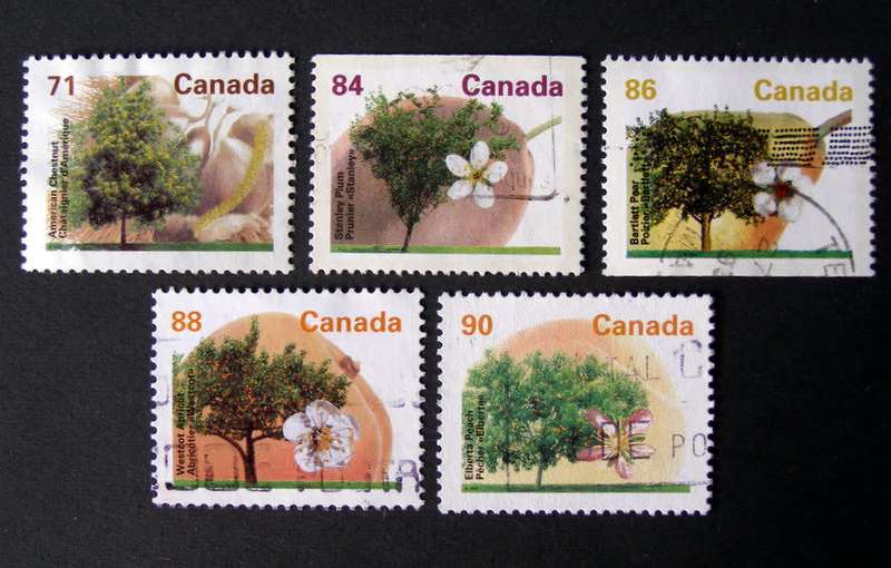 CANADA - Fruit Trees 1991