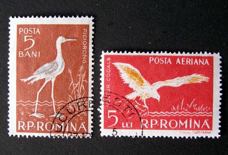 ROMANIA - Birds 1957