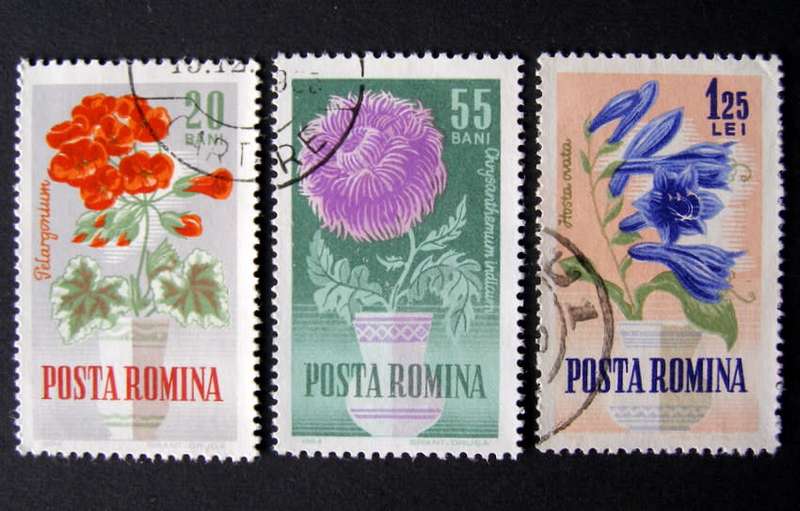 ROMANIA - Flowers 1964