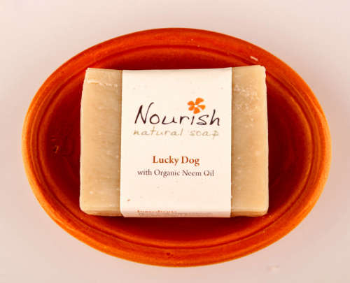 Natural Dog Shampoo