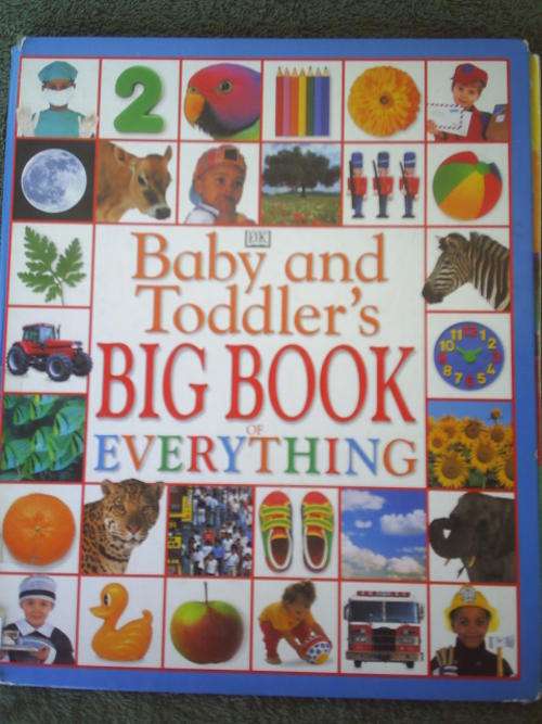 Baby And Toddler's Big Book of Everything