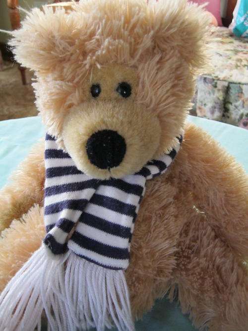 Discovery Beanie Bear (+/- 32cm)