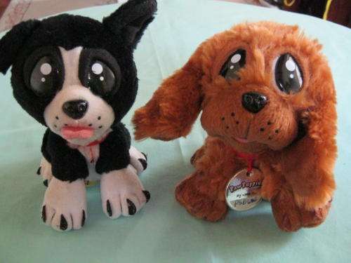 Two Paw Puppies