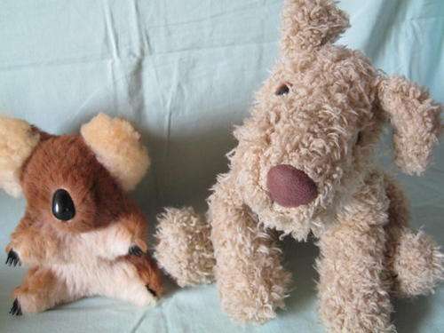 Koala and Dog