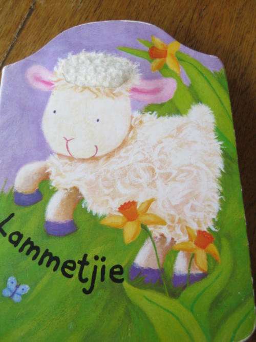 Lammetjie - Board Book