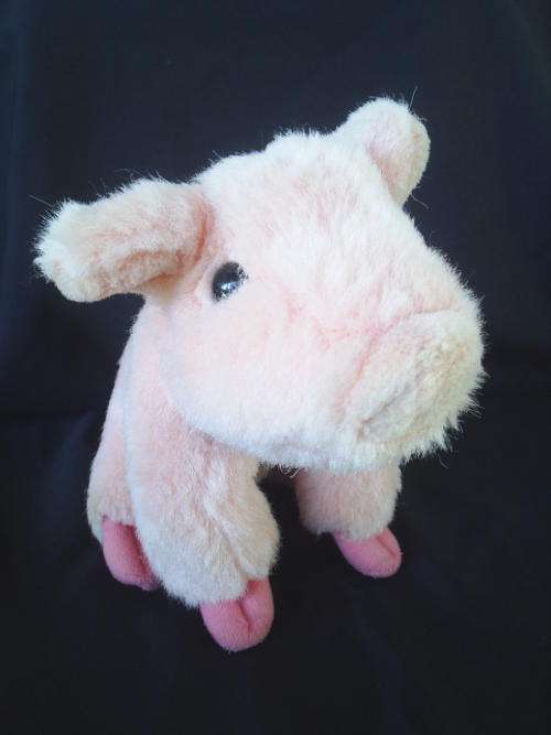 Pig (13cm)
