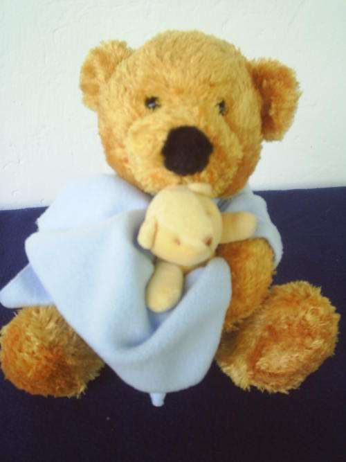 Woolworths Teddy Bear (As New)