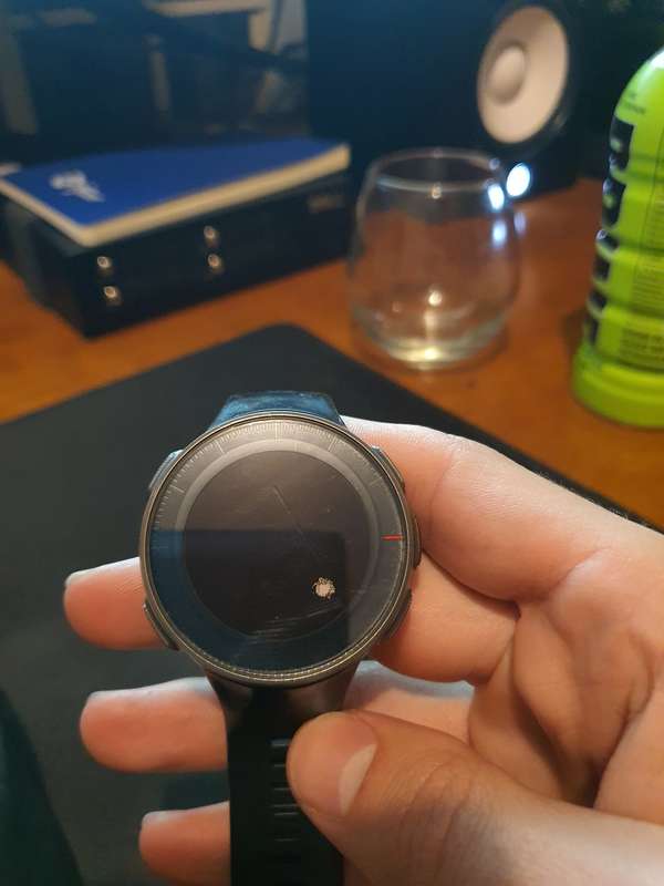 POLAR VANTAGE V